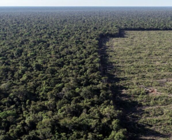 82% da perda de hectares naturais da Amazônia foi no Brasil. (Foto: Mário Oliveira/MTUR)