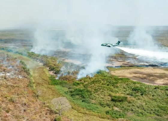 União reconhece estado de emergência e MT aguarda envio de R$ 18 mi para combate aos incêndios